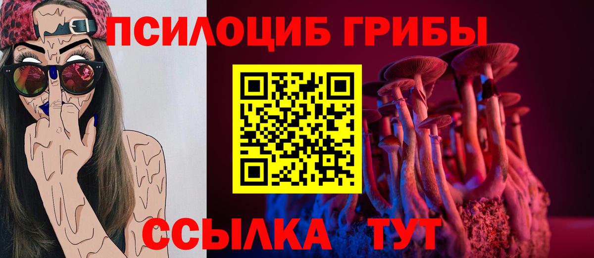 Вольск  Галлюциногенные грибы прущие грибы  Вход с VPN 
